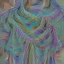 n04325704 stole
